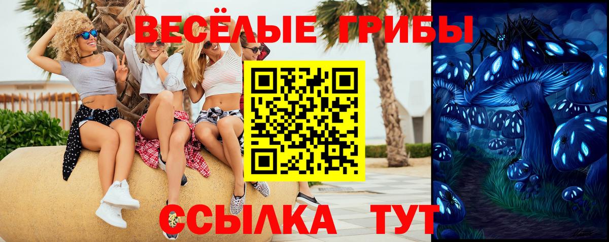 Галлюциногенные грибы мухоморы  Вход с VPN  Омск  Галлюциногенные грибы GOLDEN TEACHER 